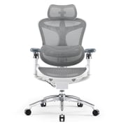 Sihoo Doro C300 Pro Ergonomic Chair