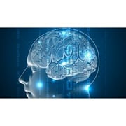 Take Control of Your Automatic Brain
