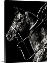 Scratchboard Rodeo V Stretched Canvas Print