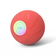 Wicked Ball PE