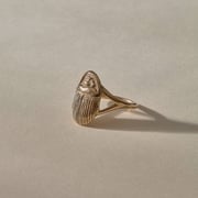 The Bronze Scarab Ring