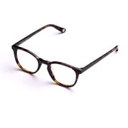 Nova Eyeglass Frames"