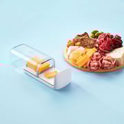 Cheese Storage Slice'n Store