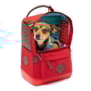Nomad Carrier Backpack