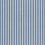 Pinstripe in Navy Blue