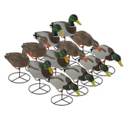 Pro Series Full Body Mallard 12 Pack