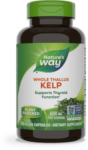 Kelp