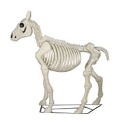 Red Shed 6 ft. Horse Skeleton