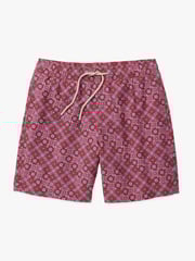 Bayberry Trunk | Coral Sand Dollars