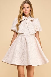 TCEC Leopard Jacquard Print Mini Dress with Pussycat Bow in Pink