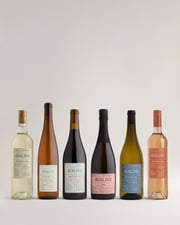 Cortney's Summer Sips