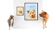 Pet Portrait on Canvas