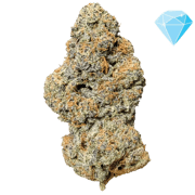 Purple Cream THCA Flower
