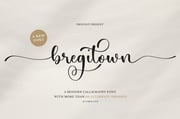 Bregitwon -  Modern Calligraphy font