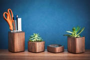 Wood Pen Cup