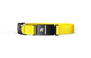 FI Collar & 6 Month Subscription