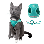 The Jackson Galaxy x Travel Cat Harness & Leash Set