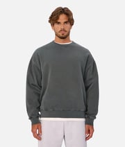 The New Del Sur Washed Sweat - Washed Pine 25