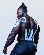 Pro Lower Back
