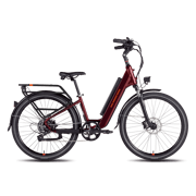 RadCity™ 5 Plus Electric Commuter Bike