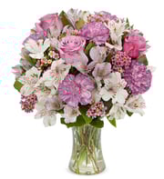 Lavender & White Brilliance