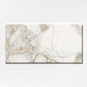 Calacatta Green Polished  Marble Tile 12x24