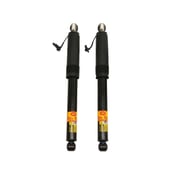 2014-2018 Chevrolet Silverado 1500 Magnetic Shocks Rear OE Replacement Kit (GC6RB)