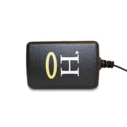 Bolt AC Wall Plug