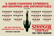 Stranger Things : The First Shadow