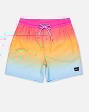 Cannonball Volley Boardshort 17"