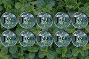10 Tins CBD Pouches - Wintergreen