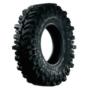 Accelera Badak X-Treme