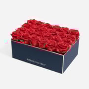 Iconic 24 Rose - Navy