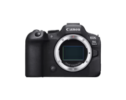 EOS R6 Mark II Body