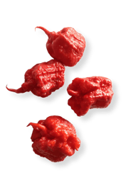 Smokin' Ed's Carolina Reaper® Seeds