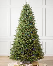 BH Balsam Fir Tree