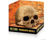 Exo Terra Primate Skull