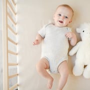 Crib Sheet