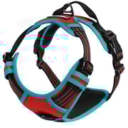 Rabbitgoo Multicolored No Pull Dog Harness