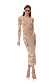 Ashland Dress - Honey Rose Frame