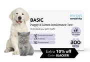 Basic Puppy & Kitten Intolerance Test