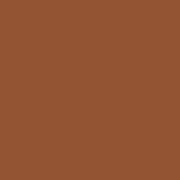 Complexion Stick