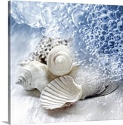 Seashells washed ashore Stretched Canvas Print