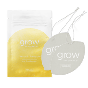 Coconut Pineapple Car Freshener