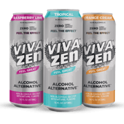 BOTANICAL SELTZER VARIETY PACK