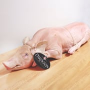 Suckling Pig, Whole Roasting Pig