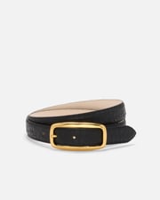 No. 19 Belt