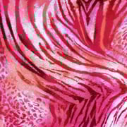 Red-Coral-Multi Animal Printed Swimwear Stretch Tricot Knit Fabric