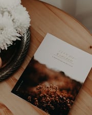 Catholic Bible Study: the Gospel of Matthew