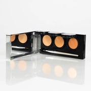 Pro Concealer Palette